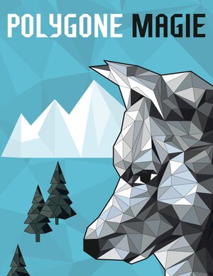 Buchcover Polygone Magie | Christoph Alexander | EAN 9783969668207 | ISBN 3-96966-820-4 | ISBN 978-3-96966-820-7