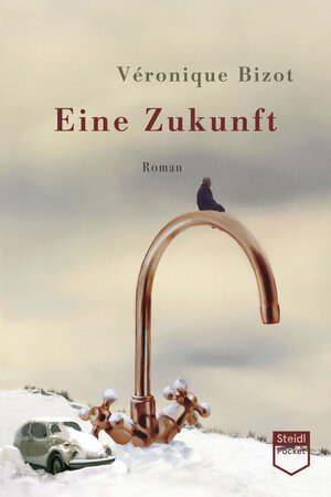Buchcover Eine Zukunft (Steidl Pocket) | Véronique Bizot | EAN 9783969992036 | ISBN 3-96999-203-6 | ISBN 978-3-96999-203-6