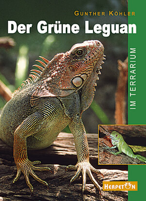 Buchcover Der Grüne Leguan im Terrarium | Gunther Köhler | EAN 9783980621465 | ISBN 3-9806214-6-4 | ISBN 978-3-9806214-6-5