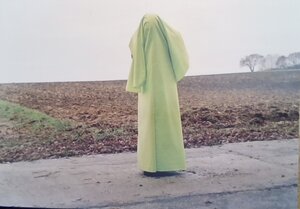 Buchcover Hellgrün im Nebel beginnt der Tag | Johanna Schwarz | EAN 9783980821490 | ISBN 3-9808214-9-8 | ISBN 978-3-9808214-9-0
