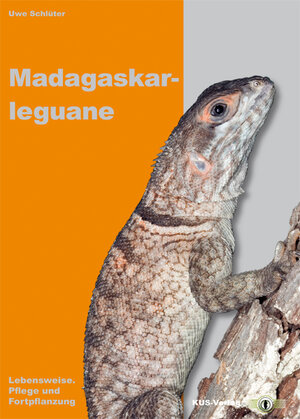 Buchcover Madagaskarleguane | Uwe Schlüter | EAN 9783980826488 | ISBN 3-9808264-8-1 | ISBN 978-3-9808264-8-8