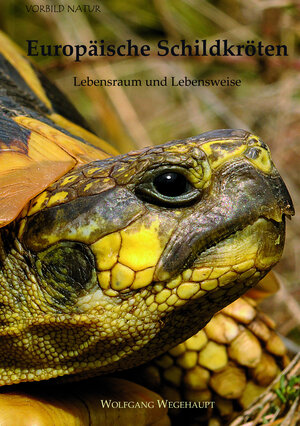 Buchcover Europäische Schildkröten | Wolfgang Wegehaupt | EAN 9783980977456 | ISBN 3-9809774-5-5 | ISBN 978-3-9809774-5-6