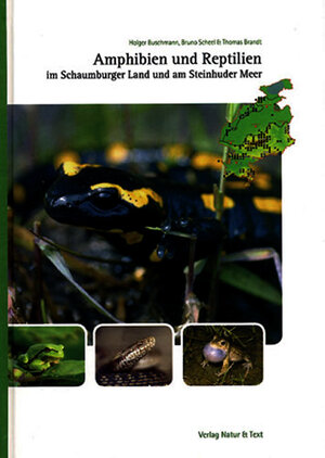 Buchcover Amphibien und Reptilien im Schaumburger Land und am Steinhuder Meer | Holger Buschmann | EAN 9783981005820 | ISBN 3-9810058-2-1 | ISBN 978-3-9810058-2-0