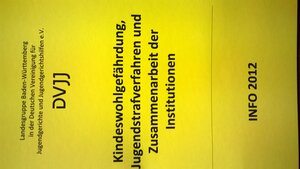Buchcover Kindeswohlgefährdung, Jugendstrafverfahren und die Zusammenarbeit der Institutionen  | EAN 9783981099560 | ISBN 3-9810995-6-7 | ISBN 978-3-9810995-6-0