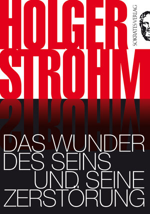 Buchcover Das Wunder des Seins und seine Zerstörung | Holger Strohm | EAN 9783981291209 | ISBN 3-9812912-0-4 | ISBN 978-3-9812912-0-9