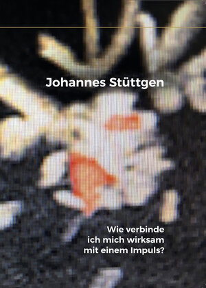 Buchcover Wie verbinde ich mich wirksam mit einem Impuls? | Johannes Stüttgen | EAN 9783981584493 | ISBN 3-9815844-9-X | ISBN 978-3-9815844-9-3