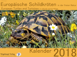 Buchcover Europäische Schildkröten in der freien Natur  | EAN 9783981756029 | ISBN 3-9817560-2-9 | ISBN 978-3-9817560-2-9