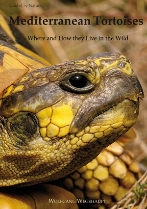 Buchcover Mediterranean Tortoises | Wolfgang Wegehaupt | EAN 9783981756036 | ISBN 3-9817560-3-7 | ISBN 978-3-9817560-3-6