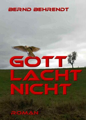 Buchcover Gott lacht nicht | Bernd Behrendt | EAN 9783981996647 | ISBN 3-9819966-4-X | ISBN 978-3-9819966-4-7