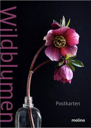 Buchcover Wildblumen  | EAN 9783982023144 | ISBN 3-9820231-4-9 | ISBN 978-3-9820231-4-4
