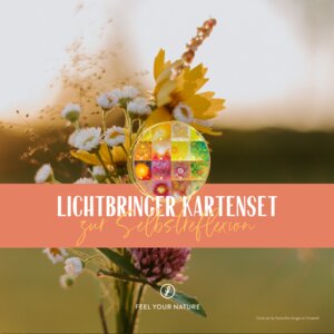 Buchcover Lichtbringer Kartenset - zur Selbstreflexion | Susanne Wurm | EAN 9783982308319 | ISBN 3-9823083-1-3 | ISBN 978-3-9823083-1-9