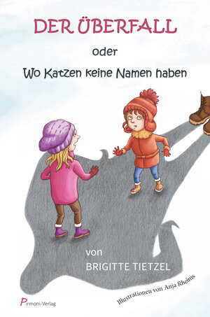 Buchcover Der Überfall | Brigitte Tietzel | EAN 9783982314235 | ISBN 3-9823142-3-2 | ISBN 978-3-9823142-3-5