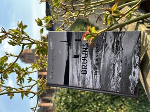 Buchcover Bruuns | Markus Constantin | EAN 9783982354941 | ISBN 3-9823549-4-3 | ISBN 978-3-9823549-4-1