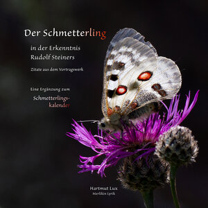 Buchcover Der Schmetterling in der Erkenntnis Rudolf Steiners - Zitate aus dem Vortragswerk  | EAN 9783982371290 | ISBN 3-9823712-9-5 | ISBN 978-3-9823712-9-0