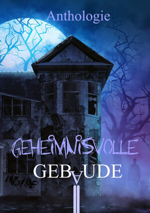 Buchcover Geheimnisvolle Gebäude | Oliver Borchers | EAN 9783985280162 | ISBN 3-98528-016-9 | ISBN 978-3-98528-016-2