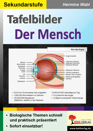 Buchcover Tafelbilder Der Mensch | Hermine Wabl | EAN 9783985588862 | ISBN 3-98558-886-4 | ISBN 978-3-98558-886-2