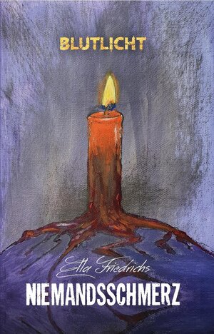 Buchcover Niemandsschmerz | Ella Friedrichs | EAN 9783985958733 | ISBN 3-98595-873-4 | ISBN 978-3-98595-873-3