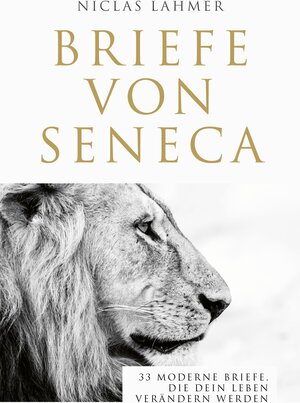 Buchcover Briefe von Seneca | Niclas Lahmer | EAN 9783986093730 | ISBN 3-98609-373-7 | ISBN 978-3-98609-373-0