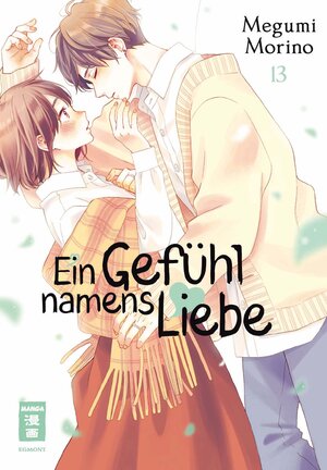 Buchcover Ein Gefühl namens Liebe 13 | Megumi Morino | EAN 9783987881084 | ISBN 3-98788-108-9 | ISBN 978-3-98788-108-4