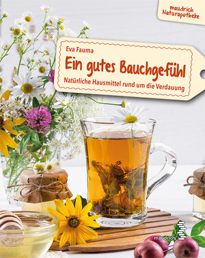Buchcover Ein gutes Bauchgefühl | Eva Fauma | EAN 9783990020913 | ISBN 3-99002-091-9 | ISBN 978-3-99002-091-3