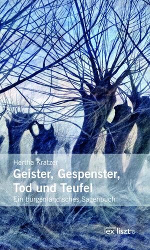 Buchcover Geister, Gespenster, Tod und Teufel | Hertha Kratzer | EAN 9783990161920 | ISBN 3-99016-192-X | ISBN 978-3-99016-192-0