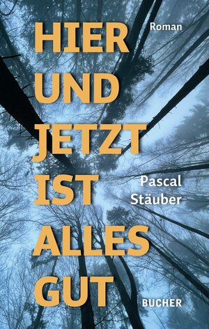 Buchcover Hier und jetzt ist alles gut | Pascal Stäuber | EAN 9783990186831 | ISBN 3-99018-683-3 | ISBN 978-3-99018-683-1