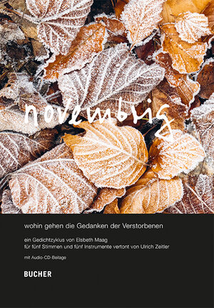 Buchcover novembrig | Elsbeth Maag | EAN 9783990186930 | ISBN 3-99018-693-0 | ISBN 978-3-99018-693-0