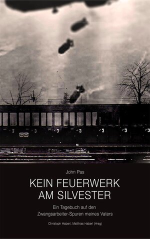 Buchcover Kein Feuerwerk am Silvester | John Pas | EAN 9783990241653 | ISBN 3-99024-165-6 | ISBN 978-3-99024-165-3