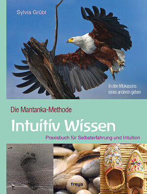Buchcover Intuitiv Wissen | Sylvia Grübl | EAN 9783990250983 | ISBN 3-99025-098-1 | ISBN 978-3-99025-098-3