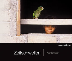 Buchcover Zeitschwellen | Peter Schneider | EAN 9783990262245 | ISBN 3-99026-224-6 | ISBN 978-3-99026-224-5