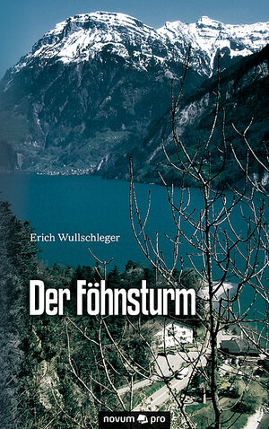 Buchcover Der Föhnsturm | Erich Wullschleger | EAN 9783990265864 | ISBN 3-99026-586-5 | ISBN 978-3-99026-586-4