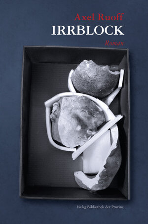 Buchcover Irrblock | Axel Ruoff | EAN 9783990289792 | ISBN 3-99028-979-9 | ISBN 978-3-99028-979-2