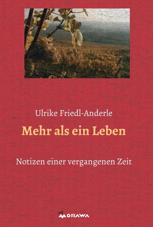 Buchcover Mehr als ein Leben | Ulrike Friedl-Anderle | EAN 9783990498255 | ISBN 3-99049-825-8 | ISBN 978-3-99049-825-5