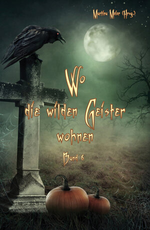 Buchcover Wo die wilden Geister wohnen  | EAN 9783990511329 | ISBN 3-99051-132-7 | ISBN 978-3-99051-132-9