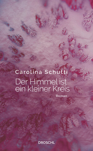 Buchcover Der Himmel ist ein kleiner Kreis | Carolina Schutti | EAN 9783990590799 | ISBN 3-99059-079-0 | ISBN 978-3-99059-079-9