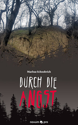 Buchcover Durch die Angst | Markus Schnobrich | EAN 9783990646434 | ISBN 3-99064-643-5 | ISBN 978-3-99064-643-4