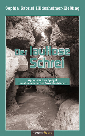 Buchcover Der lautlose Schrei | Sophia Gabriel Hildesheimer-Kießling | EAN 9783990646687 | ISBN 3-99064-668-0 | ISBN 978-3-99064-668-7