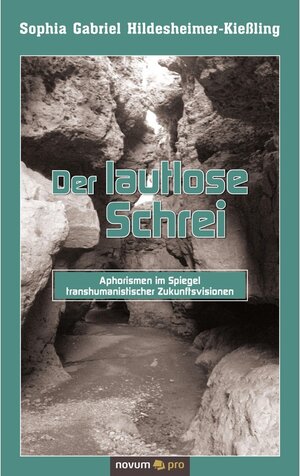 Buchcover Der lautlose Schrei | Sophia Gabriel Hildesheimer-Kießling | EAN 9783990646694 | ISBN 3-99064-669-9 | ISBN 978-3-99064-669-4