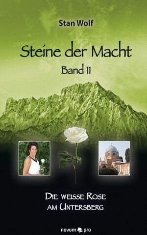 Buchcover Steine der Macht – Band 11 | Stan Wolf | EAN 9783990648049 | ISBN 3-99064-804-7 | ISBN 978-3-99064-804-9