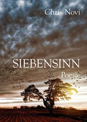 Buchcover Siebensinn | Chris Novi | EAN 9783990845981 | ISBN 3-99084-598-5 | ISBN 978-3-99084-598-1