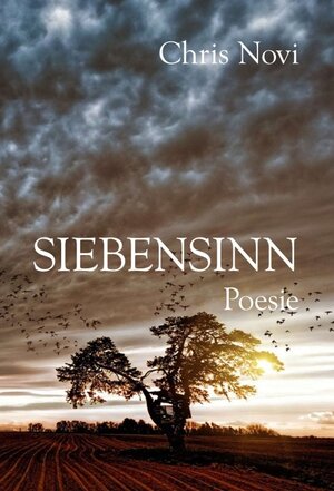 Buchcover Siebensinn | Chris Novi | EAN 9783990845998 | ISBN 3-99084-599-3 | ISBN 978-3-99084-599-8