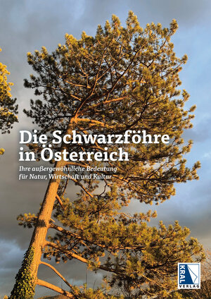 Buchcover Die Schwarzföhre in Österreich  | EAN 9783991030355 | ISBN 3-99103-035-7 | ISBN 978-3-99103-035-5