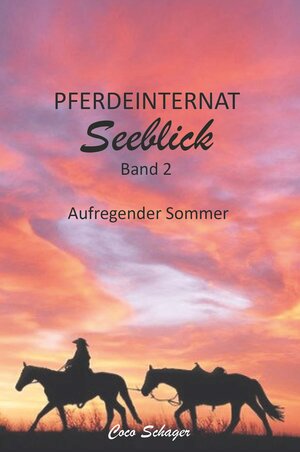 Buchcover Pferdeinternat Seeblick Band 2 | Coco Schager | EAN 9783991399056 | ISBN 3-99139-905-9 | ISBN 978-3-99139-905-6