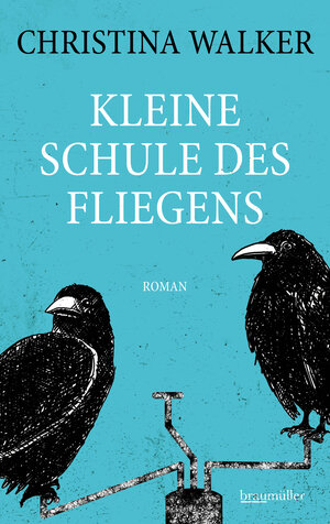 Buchcover Kleine Schule des Fliegens | Christina Walker | EAN 9783992003433 | ISBN 3-99200-343-4 | ISBN 978-3-99200-343-3