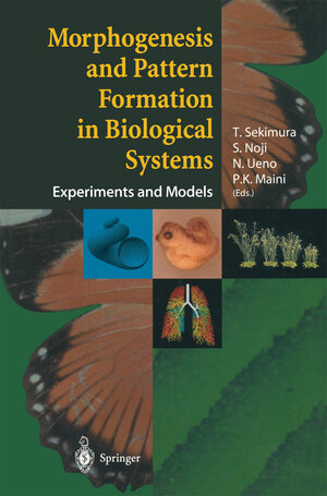 Buchcover Morphogenesis and Pattern Formation in Biological Systems | EAN 9784431006442 | ISBN 4-431-00644-3 | ISBN 978-4-431-00644-2