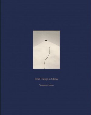 Buchcover Small Things in Silence  | EAN 9788415118831 | ISBN 84-15118-83-X | ISBN 978-84-15118-83-1