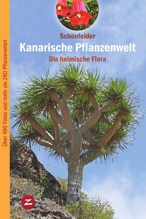 Buchcover Kanarische Pflanzenwelt | Peter Schönfelder | EAN 9788494257834 | ISBN 84-942578-3-8 | ISBN 978-84-942578-3-4