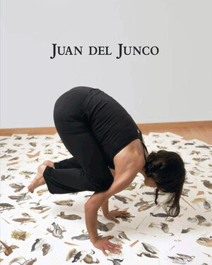 Buchcover Juan del Junco  | EAN 9788499270630 | ISBN 84-9927-063-8 | ISBN 978-84-9927-063-0