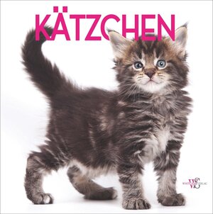 Buchcover Kätzchen | Rita Mabel Schiavo | EAN 9788863122107 | ISBN 88-6312-210-5 | ISBN 978-88-6312-210-7