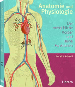 Buchcover Anatomie und Physiologie | Ken Ashwell | EAN 9789089988638 | ISBN 90-8998-863-7 | ISBN 978-90-8998-863-8